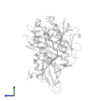 Ovalbumin in PDB entry 4hkj, assembly 2, side view.