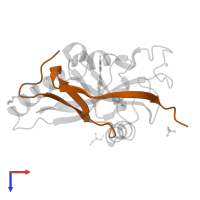 Poly [ADP-ribose] polymerase tankyrase-2 in PDB entry 4hlh, assembly 1, top view.