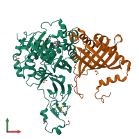 PDB entry 4hm3 coloured by chain, front view.