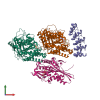 PDB entry 4hna coloured by chain, front view.