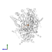 Substance P in PDB entry 4hom, assembly 1, side view.