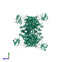 Biotin carboxylase in PDB entry 4hr7, assembly 1, side view.