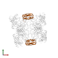 Biotin carboxyl carrier protein of acetyl-CoA carboxylase in PDB entry 4hr7, assembly 1, front view.