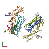 PDB entry 4hsa coloured by chain, front view.