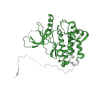 The deposited structure of PDB entry 4i21 contains 2 copies of Pfam domain PF07714 (Protein tyrosine and serine/threonine kinase) in Epidermal growth factor receptor. Showing 1 copy in chain B.