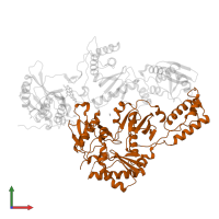 p51 RT in PDB entry 4i2q, assembly 1, front view.