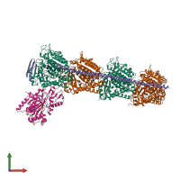 Hetero hexameric assembly 1 of PDB entry 4i4t coloured by chemically distinct molecules, front view.