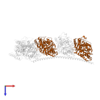 Tubulin beta-2B chain in PDB entry 4i4t, assembly 1, top view.