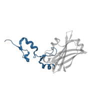 The deposited structure of PDB entry 4i7c contains 2 copies of CATH domain 3.30.40.10 (Herpes Virus-1) in E3 ubiquitin-protein ligase SIAH1. Showing 1 copy in chain C.