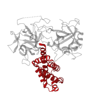 The deposited structure of PDB entry 4i7i contains 1 copy of CATH domain 1.25.10.30 (Leucine-rich Repeat Variant) in Ryanodine receptor 1. Showing 1 copy in chain A.