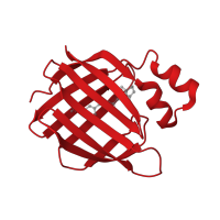 The deposited structure of PDB entry 4i9r contains 1 copy of CATH domain 2.40.128.20 (Lipocalin) in Cellular retinoic acid-binding protein 2. Showing 1 copy in chain A.