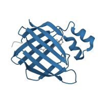 The deposited structure of PDB entry 4i9r contains 1 copy of Pfam domain PF00061 (Lipocalin / cytosolic fatty-acid binding protein family) in Cellular retinoic acid-binding protein 2. Showing 1 copy in chain A.