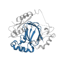 The deposited structure of PDB entry 4igp contains 1 copy of Pfam domain PF02373 (JmjC domain, hydroxylase) in Lysine-specific demethylase JMJ703. Showing 1 copy in chain A.