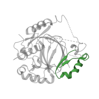 The deposited structure of PDB entry 4igp contains 1 copy of Pfam domain PF02375 (jmjN domain) in Lysine-specific demethylase JMJ703. Showing 1 copy in chain A.