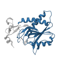 The deposited structure of PDB entry 4ijq contains 4 copies of Pfam domain PF00156 (Phosphoribosyl transferase domain) in Hypoxanthine-guanine phosphoribosyltransferase. Showing 1 copy in chain C.