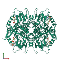 Homo tetrameric assembly 1 of PDB entry 4ijq coloured by chemically distinct molecules, front view.