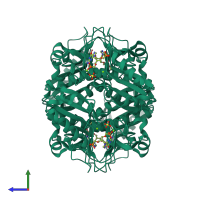 Homo tetrameric assembly 1 of PDB entry 4ijq coloured by chemically distinct molecules, side view.
