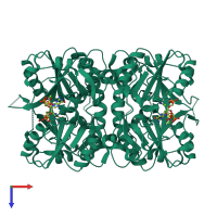 Homo tetrameric assembly 1 of PDB entry 4ijq coloured by chemically distinct molecules, top view.