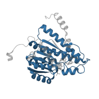 The deposited structure of PDB entry 4ijw contains 4 copies of Pfam domain PF00106 (short chain dehydrogenase) in 11-beta-hydroxysteroid dehydrogenase 1. Showing 1 copy in chain B.