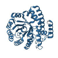 The deposited structure of PDB entry 4ime contains 8 copies of Pfam domain PF00701 (Dihydrodipicolinate synthetase family) in N-acetylneuraminate lyase. Showing 1 copy in chain A.