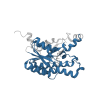 The deposited structure of PDB entry 4imr contains 2 copies of Pfam domain PF00106 (short chain dehydrogenase) in 3-oxoacyl-(Acyl-carrier-protein) reductase. Showing 1 copy in chain A.
