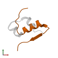 Insulin B chain in PDB entry 4ins, assembly 1, front view.