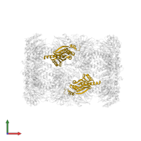 Proteasome subunit beta type-5 in PDB entry 4int, assembly 1, front view.