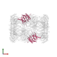Proteasome subunit beta type-6 in PDB entry 4int, assembly 1, front view.