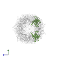 Proteasome subunit beta type-7 in PDB entry 4int, assembly 1, side view.