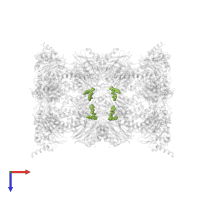 HMB-Val-Ser-Phe(4-NH2CH2)-methyl vinyl sulfone, bound form in PDB entry 4int, assembly 1, top view.