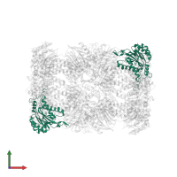 Proteasome subunit alpha type-2 in PDB entry 4int, assembly 1, front view.