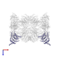 Proteasome subunit alpha type-4 in PDB entry 4int, assembly 1, top view.