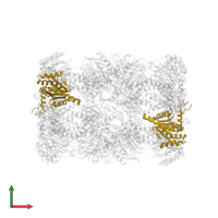 Probable proteasome subunit alpha type-7 in PDB entry 4int, assembly 1, front view.