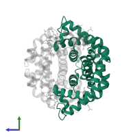 Hemoglobin subunit alpha in PDB entry 4iro, assembly 1, side view.