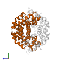 Hemoglobin subunit beta in PDB entry 4iro, assembly 1, side view.