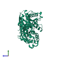 Hexokinase-4 in PDB entry 4isg, assembly 1, side view.