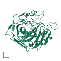 Carbonic anhydrase 2 in PDB entry 4ito, assembly 1, front view.