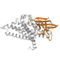 The deposited structure of PDB entry 4iv6 contains 2 copies of Pfam domain PF02770 (Acyl-CoA dehydrogenase, middle domain) in Isovaleryl-CoA dehydrogenase. Showing 1 copy in chain B.