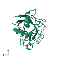 Peptidyl-prolyl cis-trans isomerase F, mitochondrial in PDB entry 4j59, assembly 1, side view.