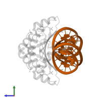 5'-R(P*CP*AP*GP*CP*AP*GP*CP*AP*GP*CP*CP*CP*GP*CP*CP*GP*CP*CP*G)-3' in PDB entry 4j5v, assembly 1, side view.