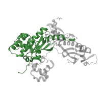 The deposited structure of PDB entry 4j9l contains 1 copy of CATH domain 3.30.70.270 (Alpha-Beta Plaits) in DNA polymerase eta. Showing 1 copy in chain A.