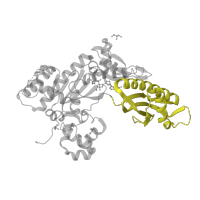 The deposited structure of PDB entry 4j9l contains 1 copy of Pfam domain PF11799 (impB/mucB/samB family C-terminal domain) in DNA polymerase eta. Showing 1 copy in chain A.