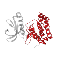 The deposited structure of PDB entry 4jai contains 1 copy of CATH domain 1.10.510.10 (Transferase(Phosphotransferase); domain 1) in Aurora kinase A. Showing 1 copy in chain A.