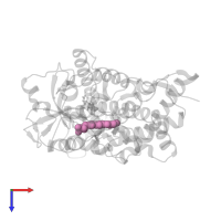 PROTOPORPHYRIN IX CONTAINING FE in PDB entry 4jbt, assembly 1, top view.