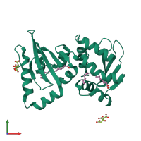 Homo dimeric assembly 1 of PDB entry 4jgx coloured by chemically distinct molecules, front view.