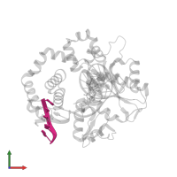 DNA (5'-D(P*GP*TP*CP*GP*G)-3') in PDB entry 4jwm, assembly 1, front view.