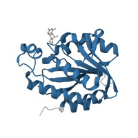 The deposited structure of PDB entry 4jx9 contains 1 copy of Pfam domain PF01195 (Peptidyl-tRNA hydrolase) in Peptidyl-tRNA hydrolase. Showing 1 copy in chain A.