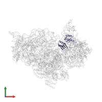 Small ribosomal subunit protein uS3 in PDB entry 4jya, assembly 1, front view.