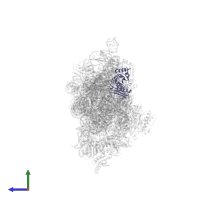 Small ribosomal subunit protein uS3 in PDB entry 4jya, assembly 1, side view.