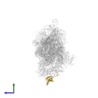 Small ribosomal subunit protein bS6 in PDB entry 4jya, assembly 1, side view.